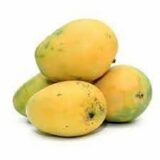 lakhan bhog mango (aam)