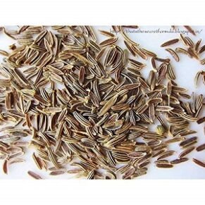 Dry Fruit Hub Shahi jeera loose