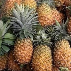Ananas Fruit Big Size